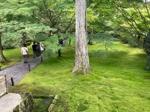三千院門跡(京都府)