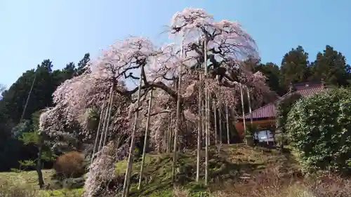 慈徳寺の庭園