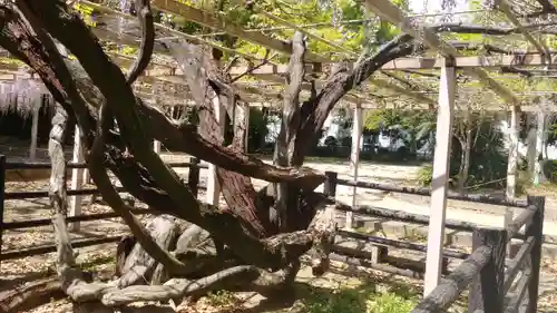 熊野神社の自然