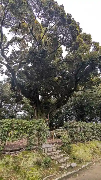 新日吉神宮(京都府)