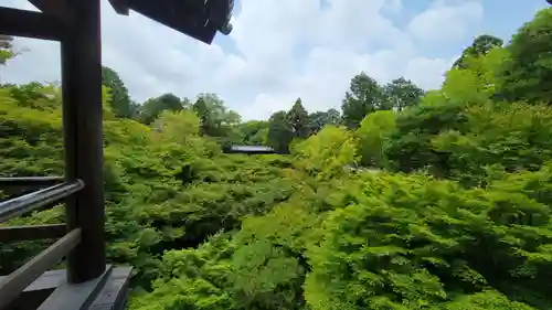 東福禅寺（東福寺）の庭園