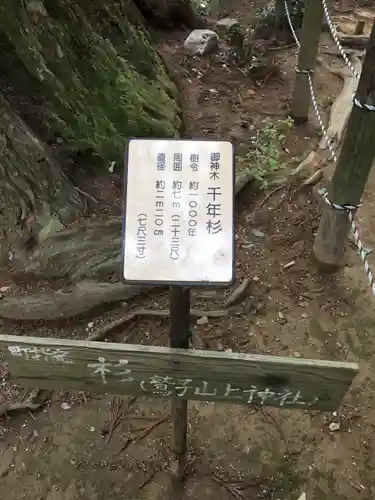 鷲子山上神社の歴史