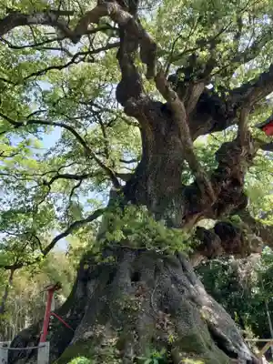 山宮神社(鹿児島県)