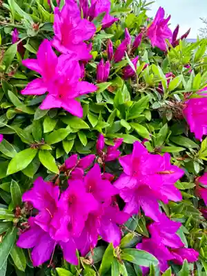 東寺（教王護国寺）(京都府)