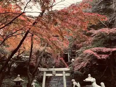 稲荷神社(山口県)