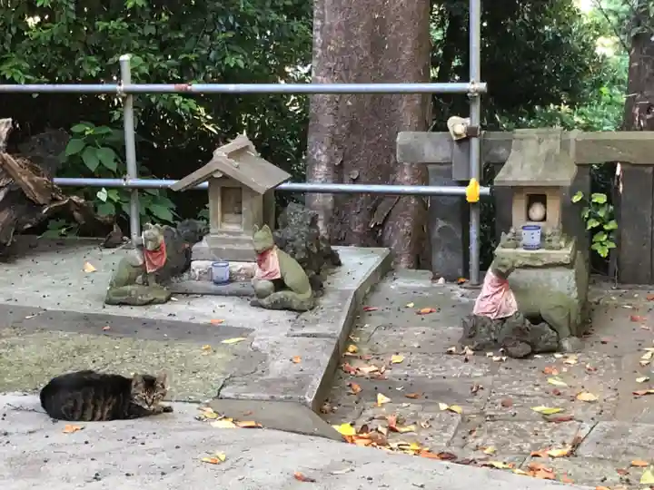 澤蔵司稲荷(慈眼院)(東京都)