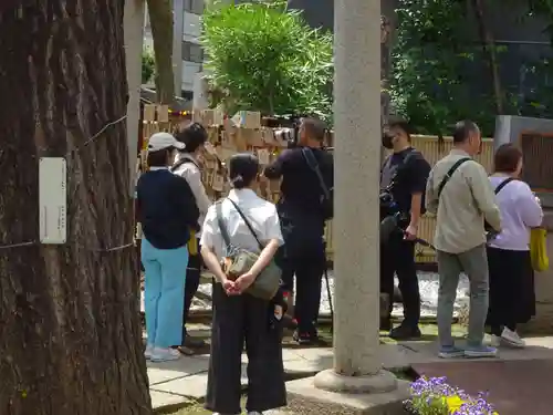 高円寺氷川神社のその他建物