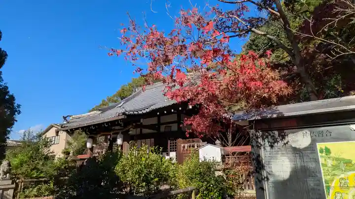 新熊野神社(京都府)