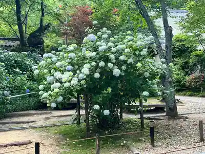 念佛院(奈良県)