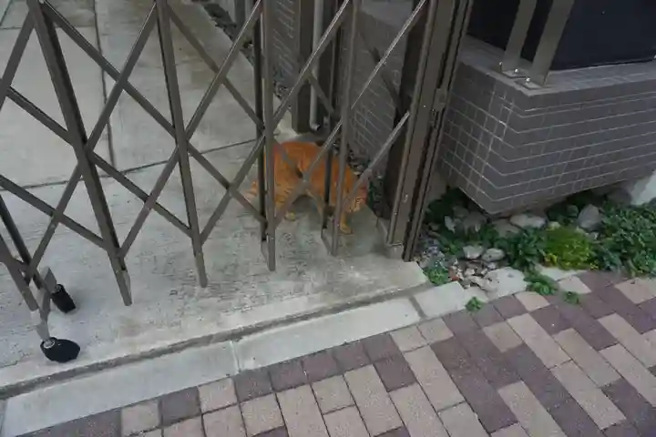 当代島稲荷神社の動物