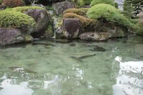 甲斐善光寺の庭園