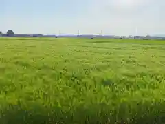 下野 星宮神社(栃木県)