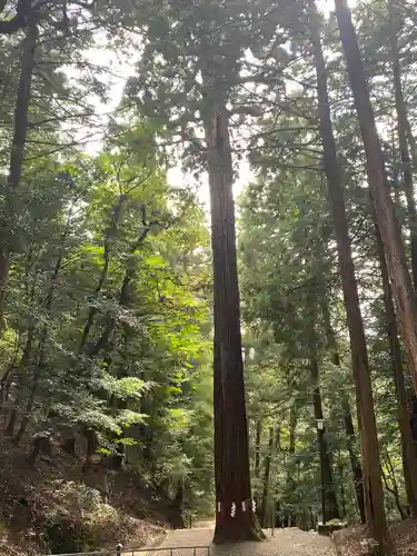 元伊勢内宮 皇大神社(京都府)