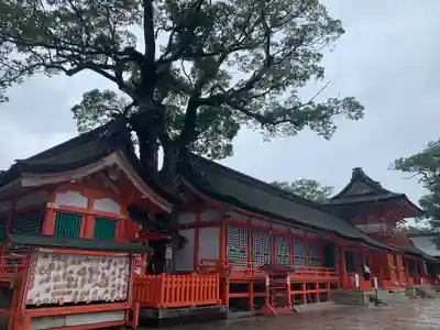 宇佐神宮の本殿・本堂