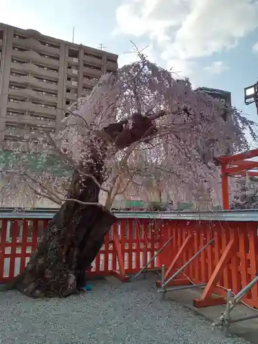 榴岡天満宮(宮城県)
