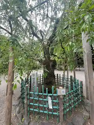 大國魂神社(東京都)