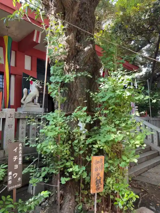 笠䅣稲荷神社(神奈川県)