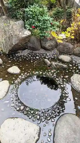 鳩ヶ谷氷川神社の自然