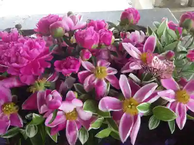 西宮八幡宮(山口県)