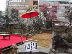 湯島天満宮の庭園