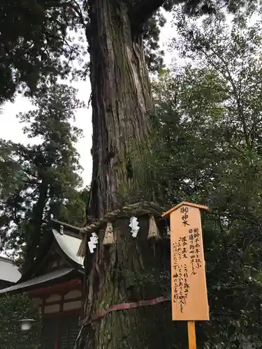 香取神宮(千葉県)