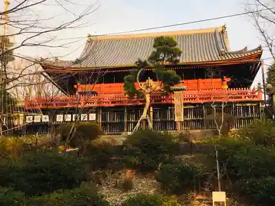 清水観音堂(東京都)