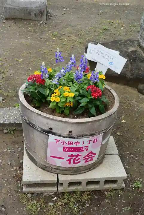 大戸神社(神奈川県)
