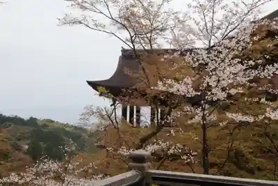 清水寺(京都府)