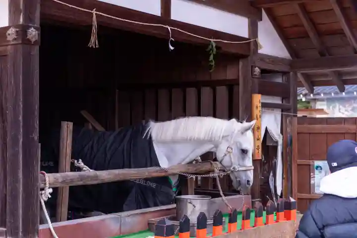 賀茂別雷神社(上賀茂神社)(京都府)
