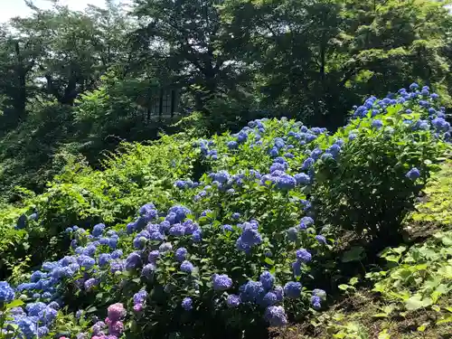 糠部神社(青森県)