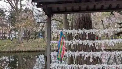 上川神社頓宮のおみくじ