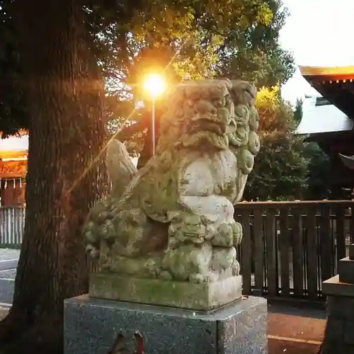 町田天満宮の狛犬