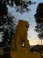 山家神社の狛犬