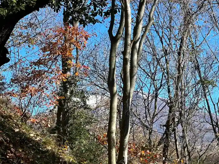 菱野健功神社(長野県)