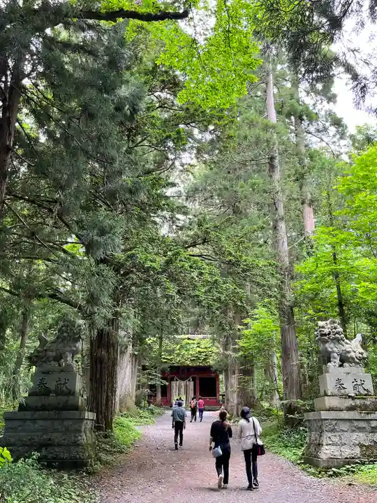 戸隠神社奥社(長野県)