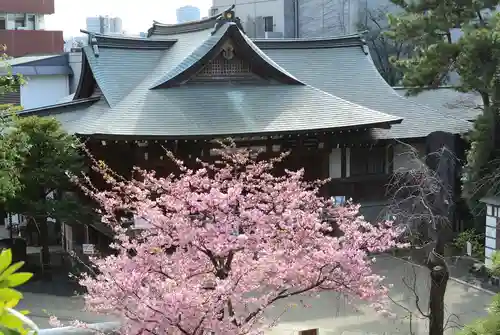 鳩森八幡神社の自然
