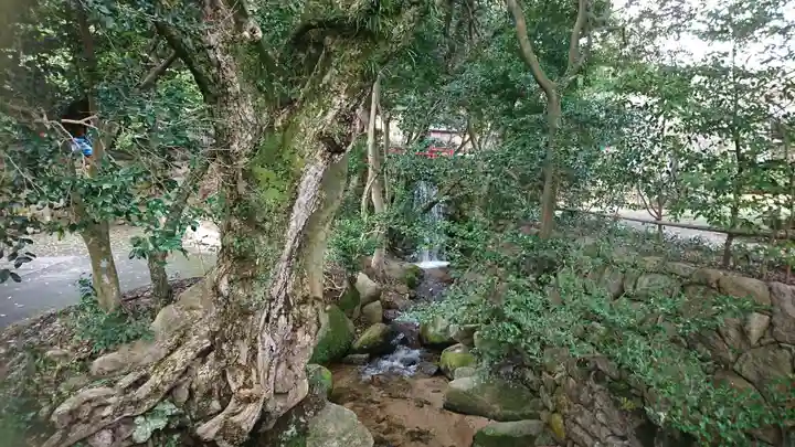 常宮神社(福井県)