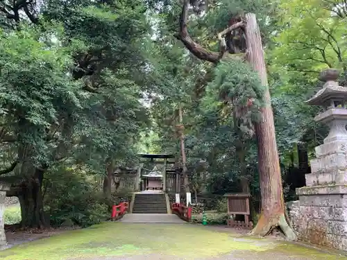 武蔵二宮 金鑚神社のその他建物