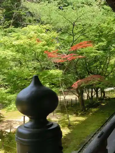 光明寺（粟生光明寺）の庭園