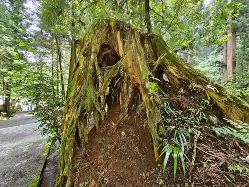 最乗寺（道了尊）(神奈川県)