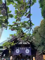 東京大神宮(東京都)