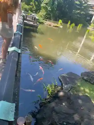 東郷神社(東京都)