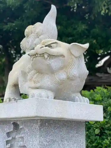 青島神社（青島神宮）の狛犬