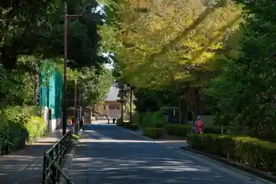 寛永寺(根本中堂)(東京都)