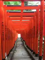 日枝神社の鳥居