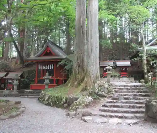 三峯神社(埼玉県)