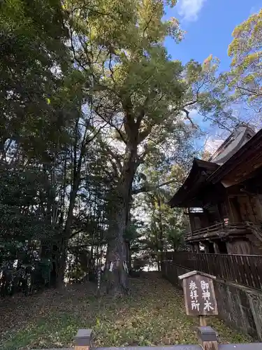 久礼八幡宮(高知県)