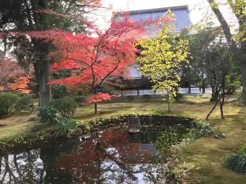 廣隆寺の庭園