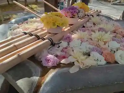 光明寺（粟生光明寺）(京都府)