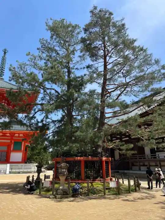 壇上伽藍(和歌山県)
